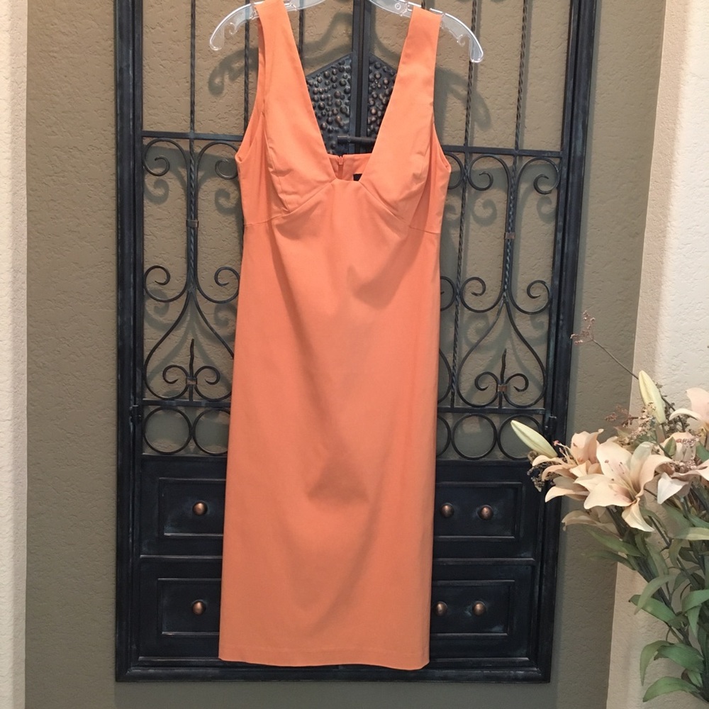 Sexy Stretch Dress